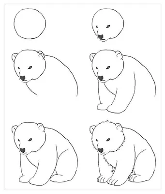 Милые картинки животных рисунки легкие (38 фото) » рисунки для срисовки на  Газ-квас.ком