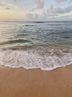 Скачать обои океан, море, песчаный пляж, горизонт на рабочий стол из  раздела картинок Обои на телефон