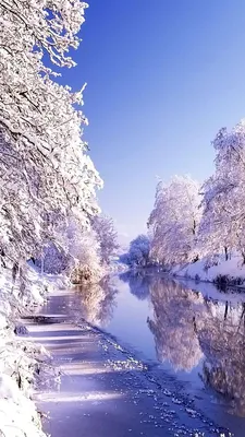 Зима: красивые картинки на телефон. 99 изображений