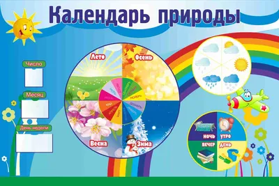 Уголок природы в группе (арт.ДСКП-02) купить в Красноярске с доставкой:  выгодные цены в интернет-магазине АзбукаДекор