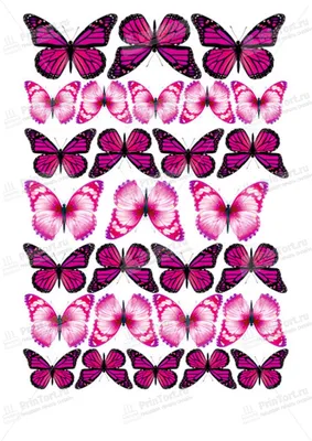 Картинка для торта \"Бабочки\" - PT100076 печать на сахарной пищевой бумаге
