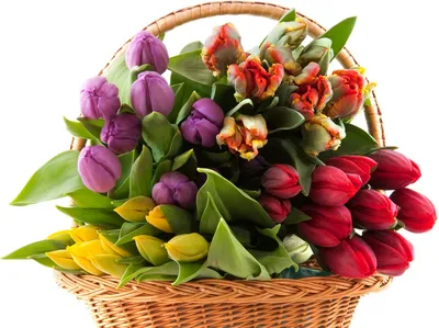 Мama_karlo.flowers - Внимание! Приём заказов на 8 марта заканчивается 4.03!  Заказы принимаем по телефону 89534630648 (WhatsApp, Viber), Direct, VK  https://vk.com/ka_tei_ka 🤩 | Facebook