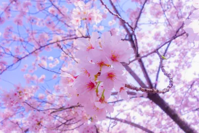 Первый день весны | Весна, Цитаты для поднятия настроения, Праздничные  цитаты