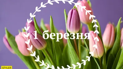 Яркие краски весны » BigPicture.ru