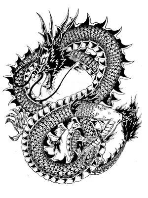 Рисунки для выжигания - Выжигание по дереву | Dragon art, Coloring book  art, Chinese dragon tattoos