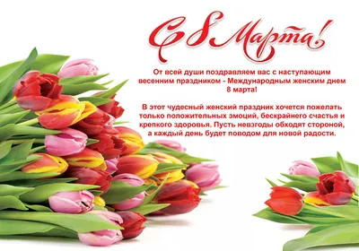 Поздравление президента ТМТПП Александра Амерханова с 8 марта -  Таганрогская межрайонная торгово-промышленная палата