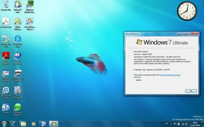 Microsoft discontinues support for Windows 7: What users need to do |  Kaspersky official blog