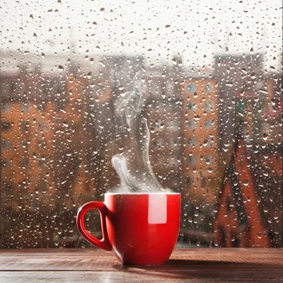 Лучшие идеи (220) доски «Дождливое утро» | дождливое утро, доброе утро,  открытки