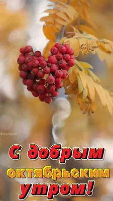 Доброго октябрьского утра🍂🍂🍂 | Good morning, Cool pictures, Breakfast