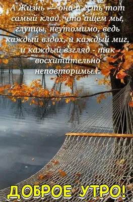 🌞 С добрым осенним утром! 🍁 | Поздравления, пожелания, открытки |  ВКонтакте
