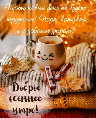 С добрым октябрьским утром!☕🍁☕🍁☕🍁☕💜💙💜💙💜💙💜 | TikTok