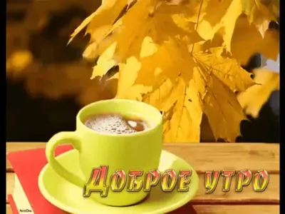 Открытки \"Доброго октябрьского утра!\" (91 шт.)