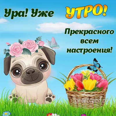 Доброе утро, дорогие! Поздравляем всех православных со светлым и  благодатным праздником Пасхи! Пусть в вашей семье царит взаимопонимание… |  Instagram
