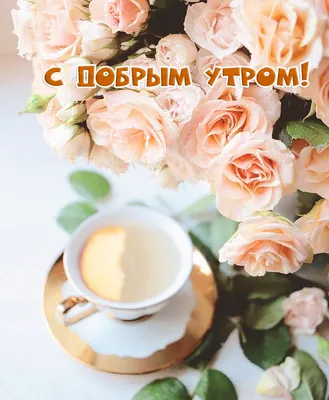 💗☕️🌷Доброе Утро! Хорошего Дня! Заряд Позитива на Весь День!💞 - YouTube