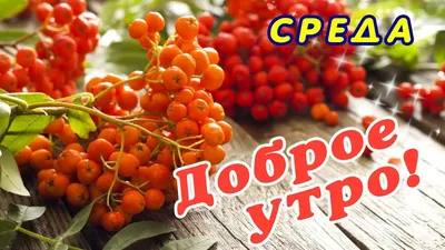 ДОБРОЕ УТРО! ОСЕНЬ, СРЕДА... - YouTube