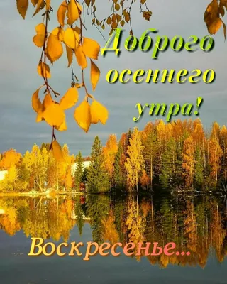 Доброго осеннего утра! | Доброе утро, Воскресенье, Осенние картинки