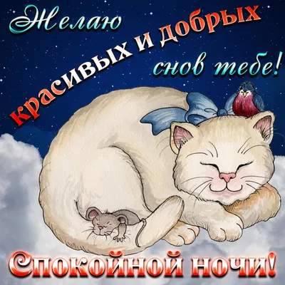 доброй ночи гифки с животными｜Поиск в TikTok