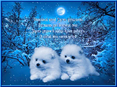 Картинки \"Спокойной зимней ночи\" (60 открыток) • Прикольные картинки и  позитив