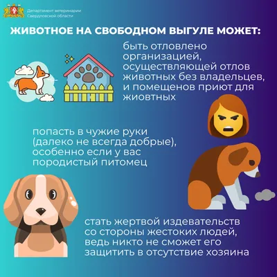 Консервы для домашних животных Чемпион 350гр: купить с доставкой по  Краснодару в интернет-магазине Агрокомплекс