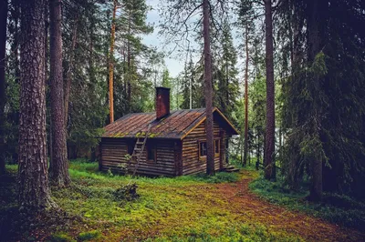 Стеклянный дом в лесу в США - Блог \"Частная архитектура\"