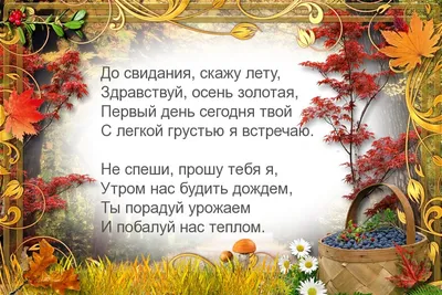 Картинка для торта До свидания, детский сад vds011 на сахарной бумаге |  Edible-printing.ru