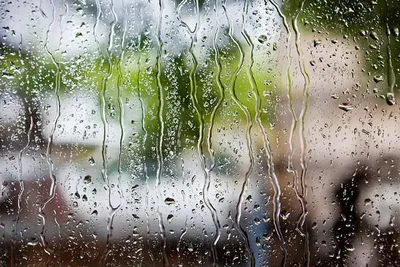Фотообои Дождь \"Капли дождя на лобовом стекле\" - арт 009005003 | Купить в  интернет-магазине Фото в дом