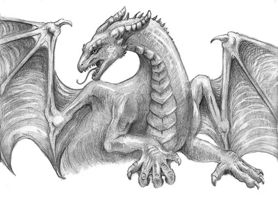 Рисунок карандашом дракон» — создано в Шедевруме