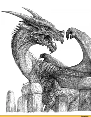 Рисунок карандашом дракон для детей - 62 фото