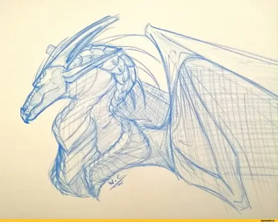 Как нарисовать дракона поэтапно: мастер-классы + 100 идей | Мама может все!  | Дзен