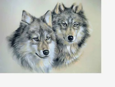 Картина на холсте «два волка в лесу», постеры и принты с изображением  животных для гостиной, Декор, настенное украшение | AliExpress