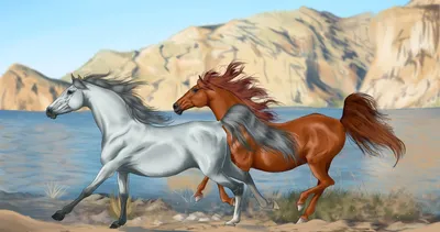Две лошади в любви галопируют на горной среде Стоковое Фото - изображение  насчитывающей млекопитающее, лошадь: 158173838