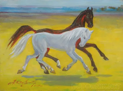 Две Лошади Ухаживают Друг За Другом — стоковая векторная графика и другие  изображения на тему Лошадь - Лошадь, Два животных, Любовь - iStock