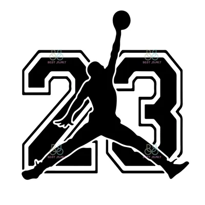 Air Jordan 23 Year of The Rabbit FB8947-001 - KicksOnFire.com