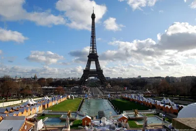 Фотообои \"Вертикальное изображение Эйфелевой башни, Париж\" - Арт. 090244 |  Купить в интернет-магазине Уютная стена