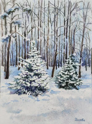Фотографии елки зимние Природа лес Снег Времена года 2048x1362