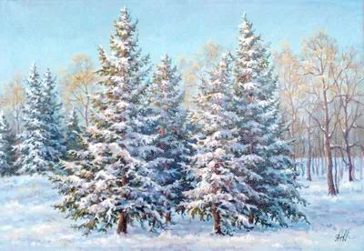 новогодняя елка на фоне снега и ночи, картина рождественской елки,  рождество, Рождественская елка фон картинки и Фото для бесплатной загрузки