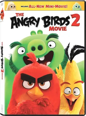 The Angry Birds Movie: The Junior Novel: Cerasi, Chris: 9780062453365:  Amazon.com: Books