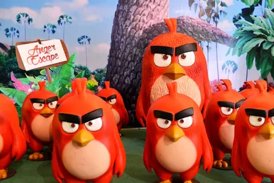 Angry Birds' Franchise: IMG to be Exclusive Publishing Agent