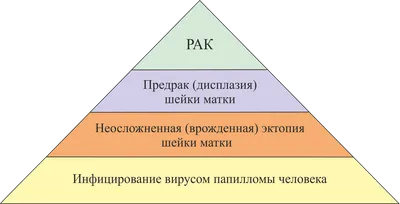 Эрозии полости рта — Стоматология «Доктор НеболитЪ»