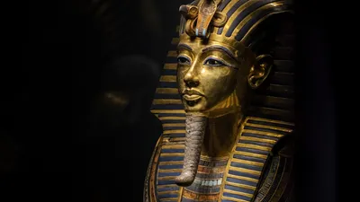 Тутанхамон. Как была найдена гробница юного фараона - купить книгу в  издательстве \"Пешком в историю\" ISBN 978-5-907471-42-9