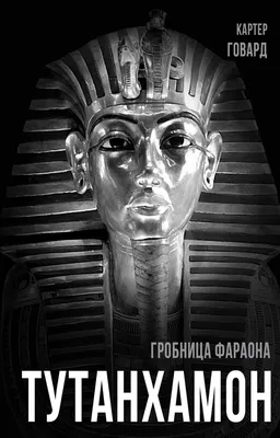 Квест «Гробница фараона» в Екатеринбурге от «Inside Quest»