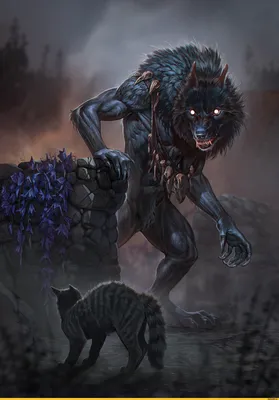 Werewolf digital wallpaper, fantasy art HD wallpaper | Wallpaper Flare