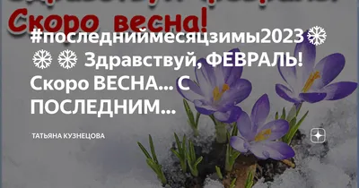 Тульские школьные библиотекари: Скоро весна?!