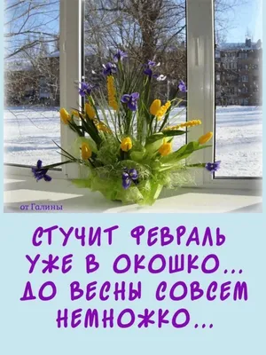 Скоро весна: поздравления с 1 февраля, красивые стихи и картинки с  последним зимним месяцем » Информационно аналитический портал «Эхо Недели»