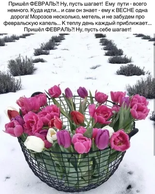 С первым днём февраля!. А значит скоро весна и лёгкие платья из ситца -  Лента новостей Крыма