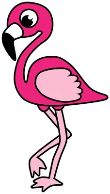 Удивительно! На Иссык-Куль прилетели розовые фламинго — фото