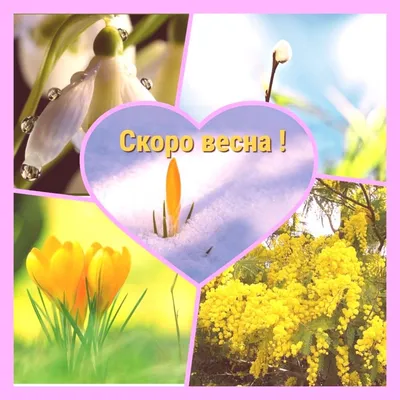 Скоро весна!. Фотограф Приходько Ирина