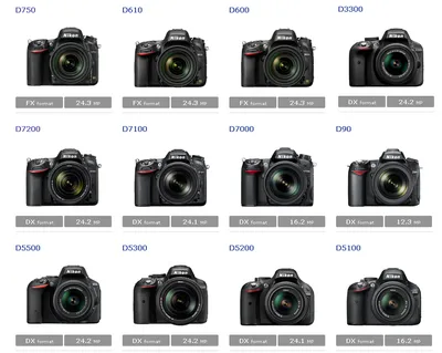 Купить Фотоаппарат Nikon Z50 Body, черный по цене 67 500 руб. с доставкой в  Москве и всей России