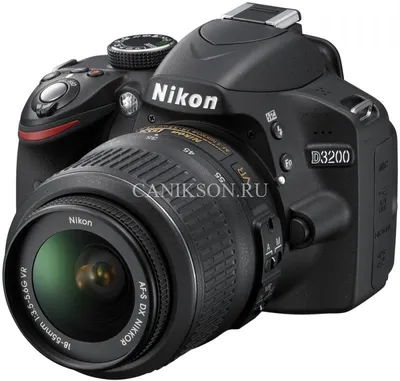 Тестирование скорострельного фотоаппарата Nikon D500