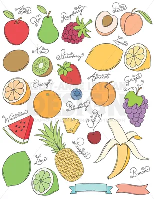 Раскраски Фрукты | Иллюстрации фруктов, Раскраски, Фрукты